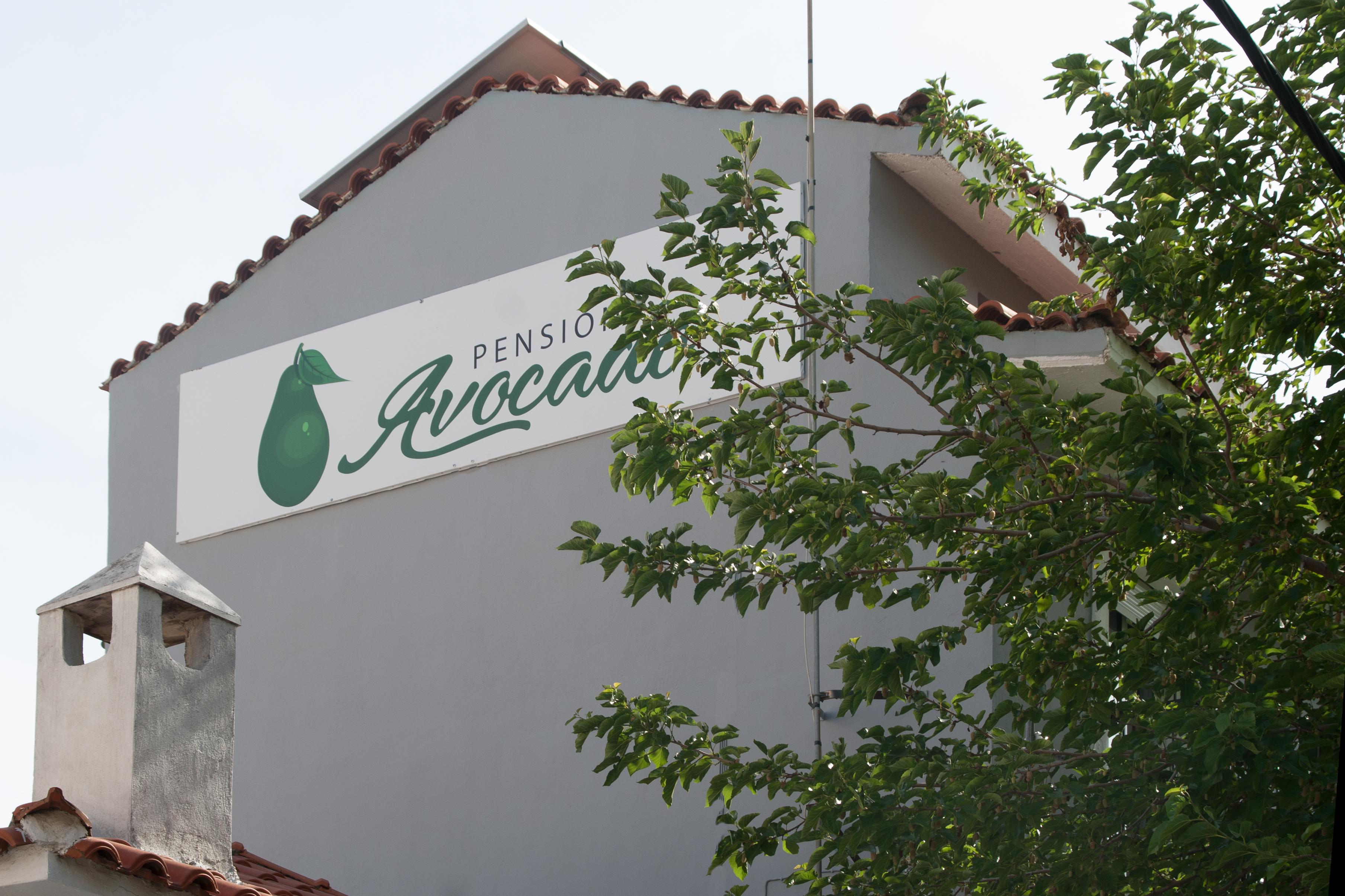 Avocado Skiathos Exterior foto
